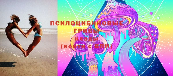 соль курить ск Алзамай