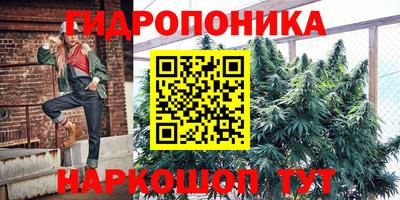 спиды Волгодонск