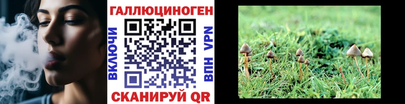 Псилоцибиновые грибы Magic Shrooms  сколько стоит  Ставрополь 