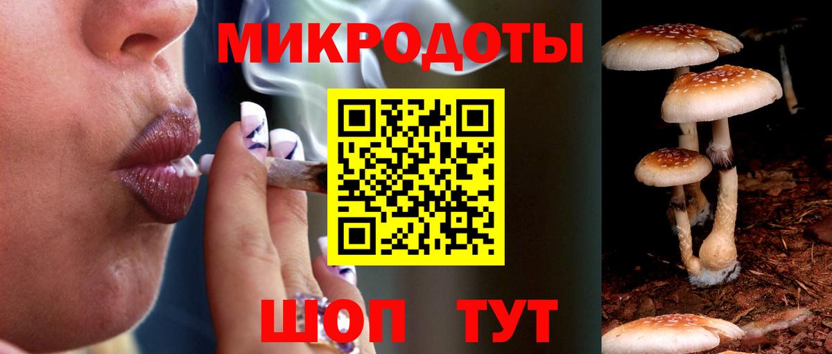 Псилоцибиновые грибы GOLDEN TEACHER  Вход с VPN  Псилоцибиновые грибы GOLDEN TEACHER  Ставрополь 